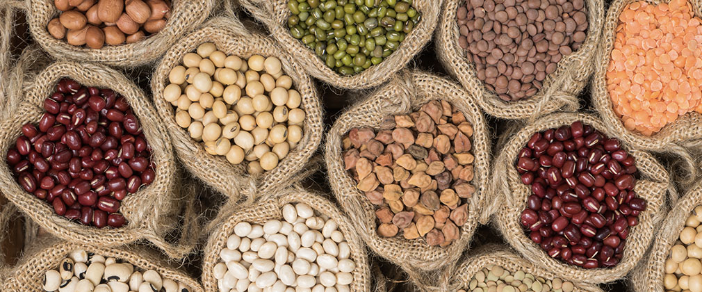 Legumes: Important Protein Source For Healthy And Sustainable Diets ...